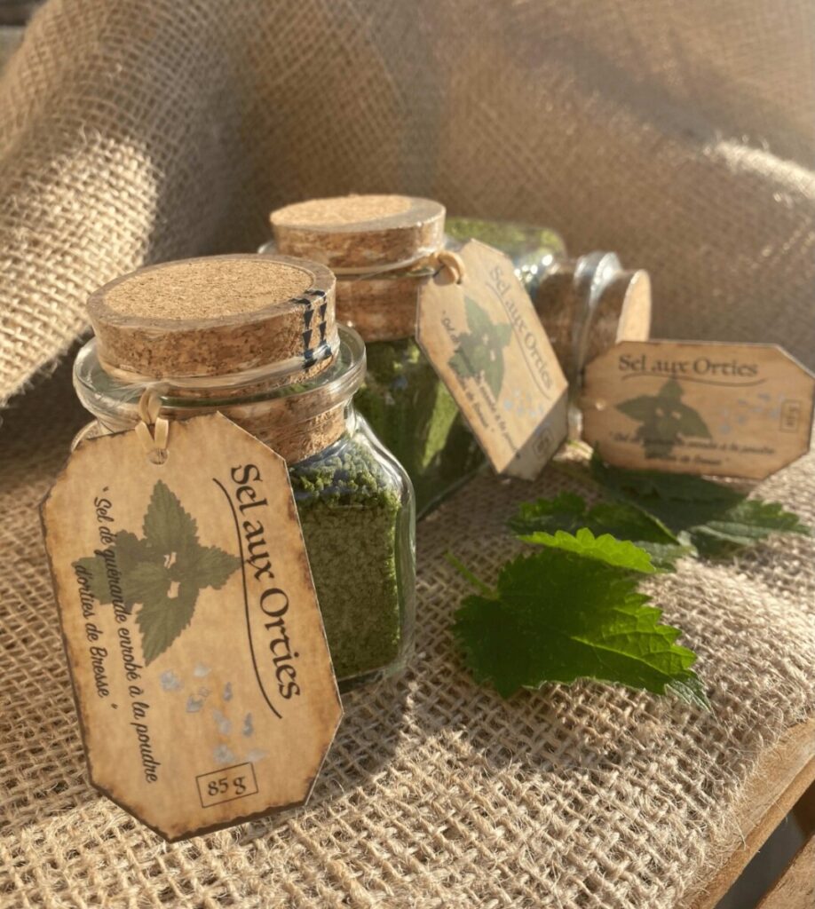 img 2276 min convertimage